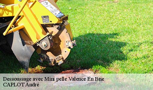 Dessoussage avec Mini pelle  valence-en-brie-77830 CAPLOT André