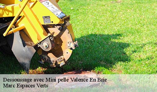 Dessoussage avec Mini pelle  valence-en-brie-77830 Marc Espaces Verts 