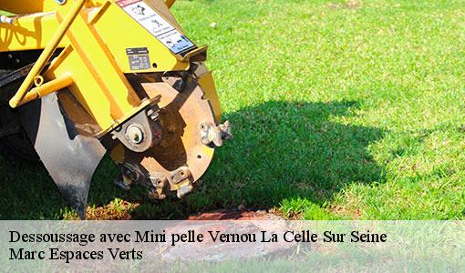 Dessoussage avec Mini pelle  vernou-la-celle-sur-seine-77670 Marc Espaces Verts 