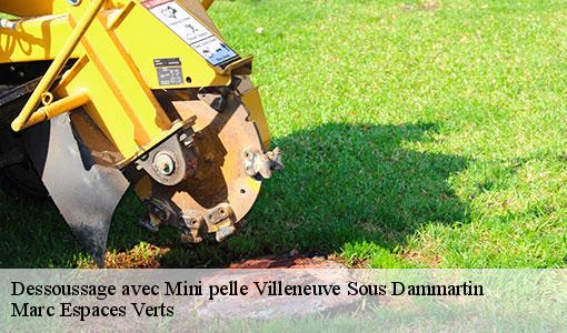 Dessoussage avec Mini pelle  villeneuve-sous-dammartin-77230 Marc Espaces Verts 
