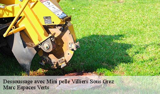 Dessoussage avec Mini pelle  villiers-sous-grez-77760 Marc Espaces Verts 