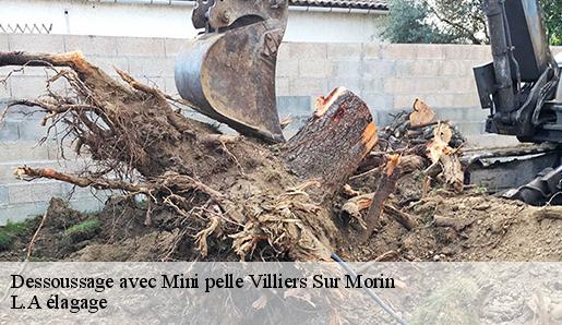Dessoussage avec Mini pelle  villiers-sur-morin-77580 L.A élagage 