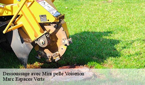 Dessoussage avec Mini pelle  voisenon-77950 Marc Espaces Verts 