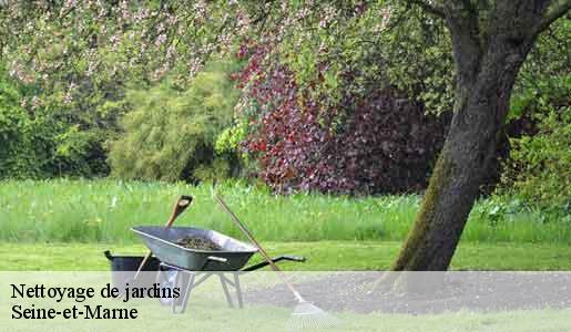 Nettoyage de jardins Seine-et-Marne 