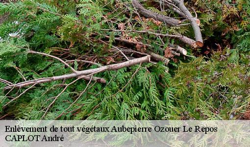 Enlèvement de tout végétaux aubepierre-ozouer-le-repos-77720 CAPLOT André