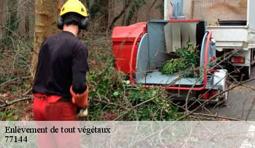 Enlèvement de tout végétaux  77144