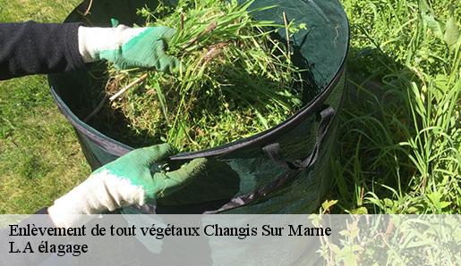 Enlèvement de tout végétaux changis-sur-marne-77660 L.A élagage