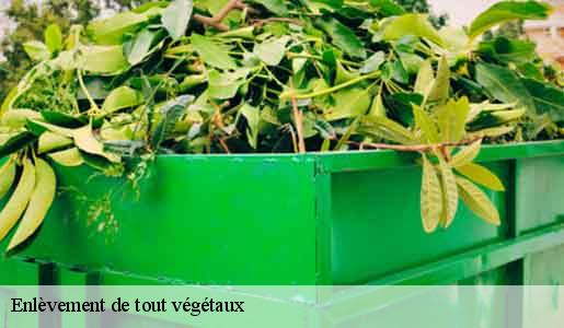 Enlèvement de tout végétaux  77660