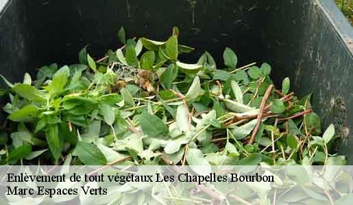 Enlèvement de tout végétaux  les-chapelles-bourbon-77610 Marc Espaces Verts 
