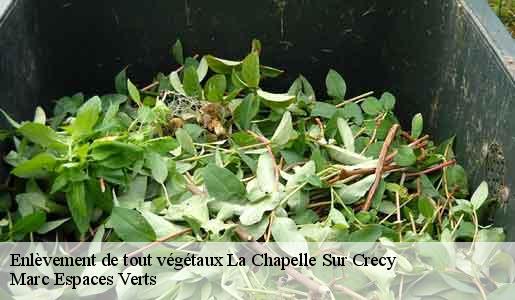 Enlèvement de tout végétaux  la-chapelle-sur-crecy-77580 Marc Espaces Verts 