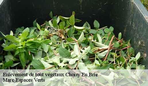 Enlèvement de tout végétaux  choisy-en-brie-77320 Marc Espaces Verts 