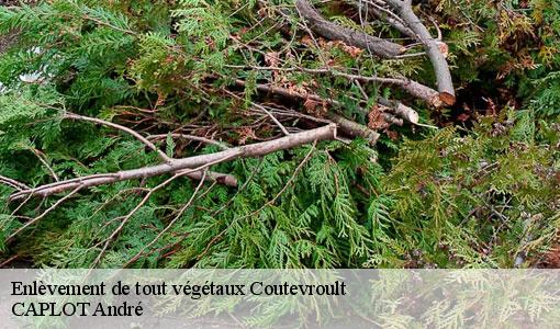 Enlèvement de tout végétaux coutevroult-77580 CAPLOT André