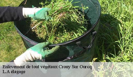 Enlèvement de tout végétaux crouy-sur-ourcq-77840 L.A élagage