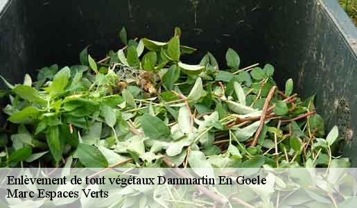 Enlèvement de tout végétaux  dammartin-en-goele-77230 Marc Espaces Verts 
