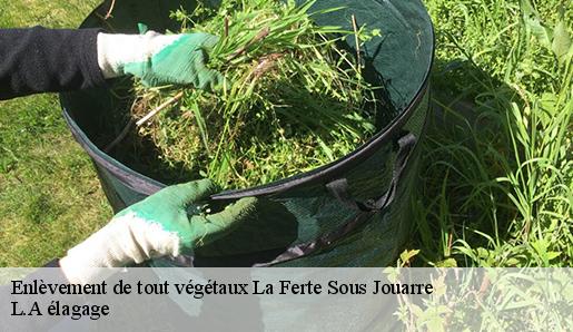 Enlèvement de tout végétaux la-ferte-sous-jouarre-77260 L.A élagage