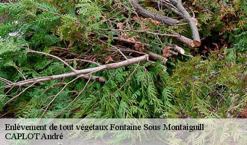 Enlèvement de tout végétaux  fontaine-sous-montaiguill-77560 CAPLOT André