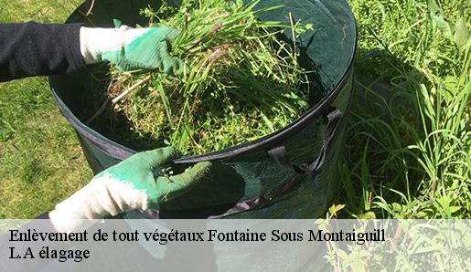 Enlèvement de tout végétaux fontaine-sous-montaiguill-77560 L.A élagage