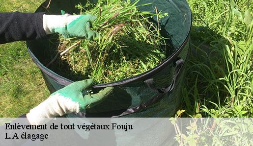Enlèvement de tout végétaux fouju-77390 L.A élagage