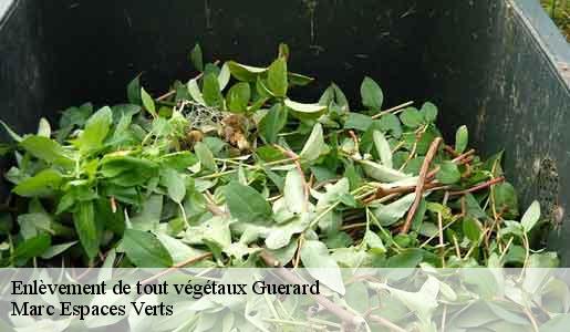 Enlèvement de tout végétaux  guerard-77580 Marc Espaces Verts 