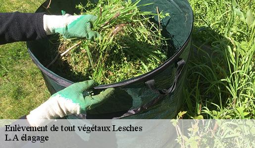 Enlèvement de tout végétaux lesches-77450 L.A élagage