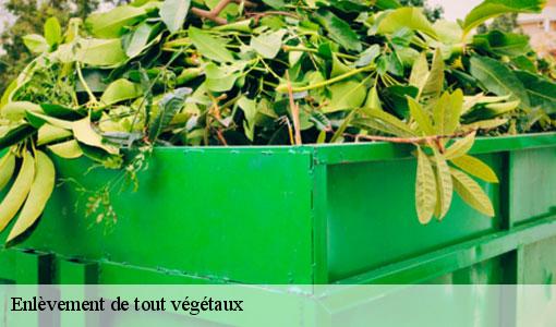 Enlèvement de tout végétaux  77650
