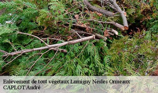 Enlèvement de tout végétaux lumigny-nesles-ormeaux-77540 CAPLOT André