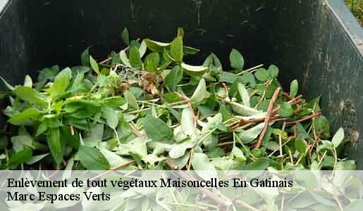 Enlèvement de tout végétaux  maisoncelles-en-gatinais-77570 Marc Espaces Verts 