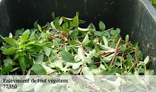 Enlèvement de tout végétaux  77350