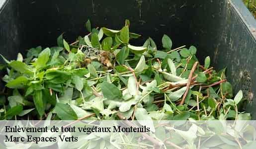 Enlèvement de tout végétaux  montenils-77320 Marc Espaces Verts 