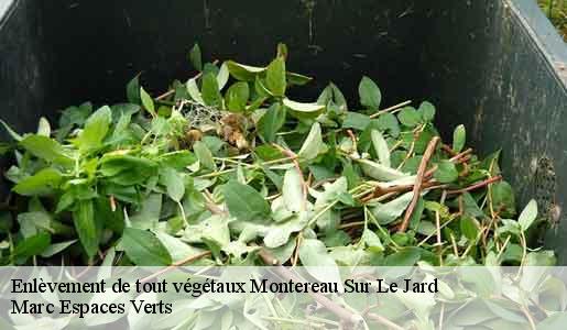 Enlèvement de tout végétaux  montereau-sur-le-jard-77950 Marc Espaces Verts 