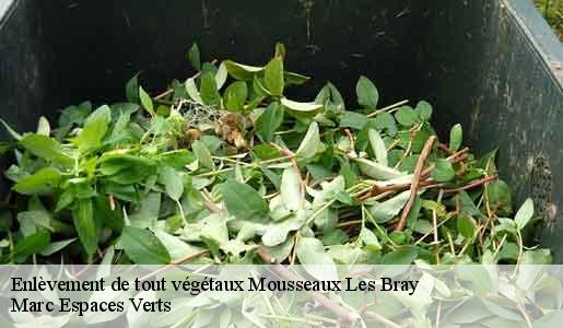 Enlèvement de tout végétaux  mousseaux-les-bray-77480 Marc Espaces Verts 
