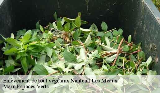 Enlèvement de tout végétaux  nanteuil-les-meaux-77100 Marc Espaces Verts 