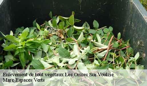 Enlèvement de tout végétaux  les-ormes-sur-voulzie-77134 Marc Espaces Verts 