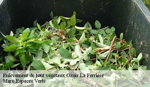 Enlèvement de tout végétaux  ozoir-la-ferriere-77330 Marc Espaces Verts 