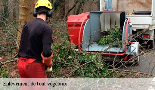 Enlèvement de tout végétaux 77515