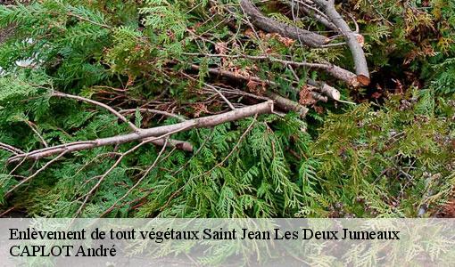 Enlèvement de tout végétaux saint-jean-les-deux-jumeaux-77660 CAPLOT André