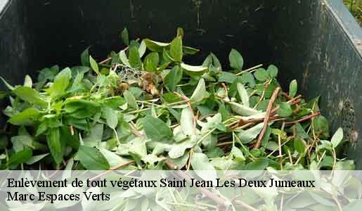 Enlèvement de tout végétaux  saint-jean-les-deux-jumeaux-77660 Marc Espaces Verts 