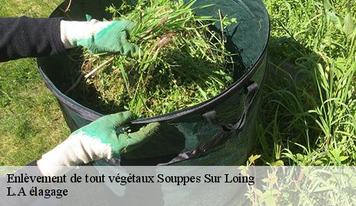 Enlèvement de tout végétaux souppes-sur-loing-77460 L.A élagage