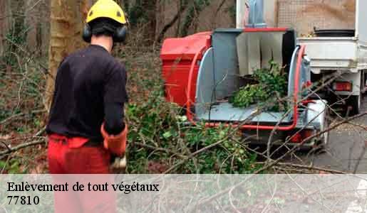Enlèvement de tout végétaux  77810
