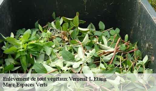 Enlèvement de tout végétaux  verneuil-l-etang-77390 Marc Espaces Verts 