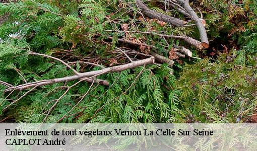 Enlèvement de tout végétaux  vernou-la-celle-sur-seine-77670 CAPLOT André