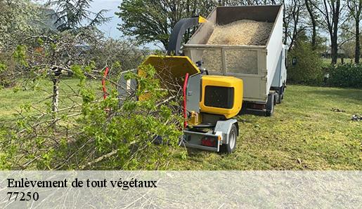 Enlèvement de tout végétaux 77250