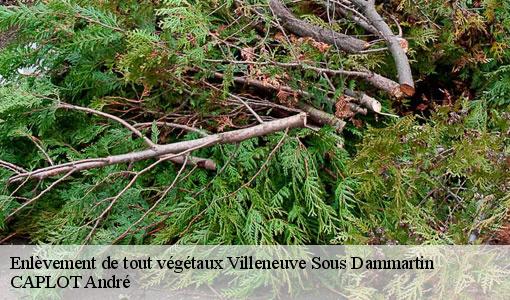 Enlèvement de tout végétaux villeneuve-sous-dammartin-77230 CAPLOT André