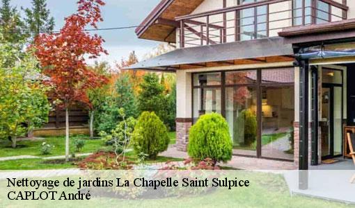 Nettoyage de jardins  la-chapelle-saint-sulpice-77160 CAPLOT André