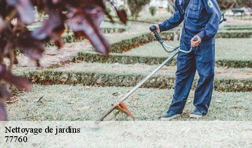 Nettoyage de jardins 77760