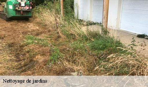 Nettoyage de jardins 77760