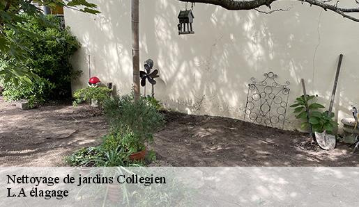 Nettoyage de jardins  collegien-77090 L.A élagage 