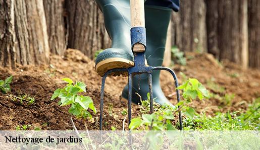 Nettoyage de jardins  77090