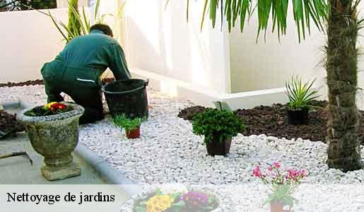 Nettoyage de jardins  77840