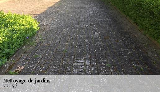 Nettoyage de jardins 77157